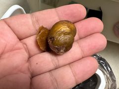 -王老头炒货(玉蜓桥店)