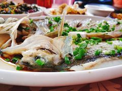 清蒸排鱼-晓琦农家菜馆·地道农家菜