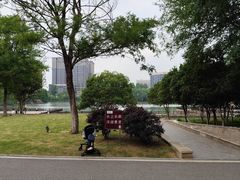 -洋湖国家湿地公园