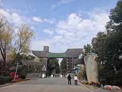 -溱湖国家湿地公园