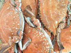 -渔家小院观海海肠捞饭地方菜(环海中路店)