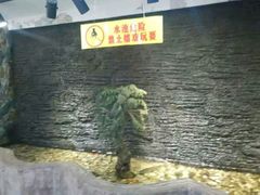 -小科自助海鲜烧肉(高区店)