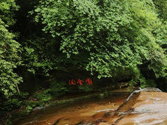 -碧峰峡风景区