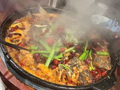 -老板恋上鱼(高新万达店)