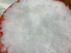 -Mr·Kuma酷么先生雪之乐园
