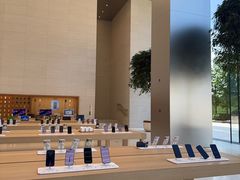 -Apple零售店(苏州店)