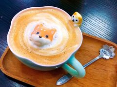 -逗柴咖啡屋·狗咖猫咖宠物桌游