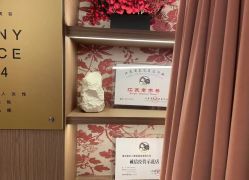 -金夫人美容