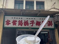 -洪馨椰子