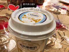 冰淇淋酸奶-新疆儿子娃娃餐厅(锦华街店)