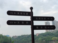 -重庆彩云湖湿地公园