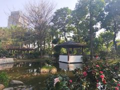 -深圳国际园林花卉博览园