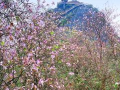 -南宁花花大世界景区