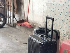 -罗家杏传统特色海南粉(人民西路总店)