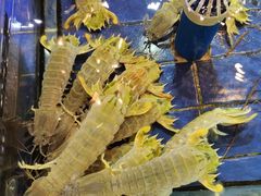 -79号渔船海鲜饭店(华强北店)