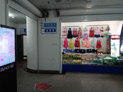 -定安游泳馆