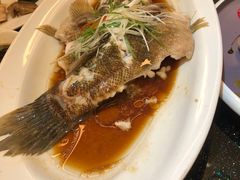 -高老庄新家宴(北斗星广场店)