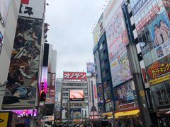 -秋叶原电器街