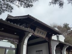 -天目山大树王景区