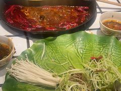 -朱光玉火锅馆(正弘城店)