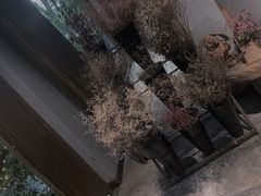 -馬蘭花開(车站大道店)