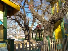 -铁路江上俱乐部