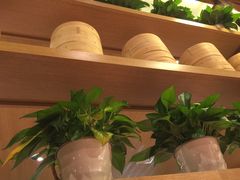 -西贝莜面村(香蜜湖店)