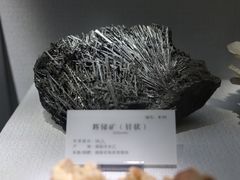 -湖南省地质博物馆