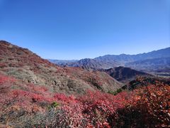 -水峪民俗村
