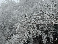 -南岳衡山风景名胜区-南岳大庙
