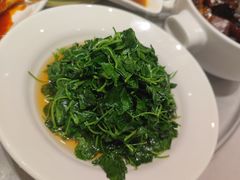 酒香草头-金时代顺风大酒店(静安大融城店)