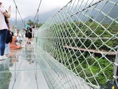 -梦幻奥陶纪景区