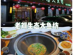 -老刘生态大鱼坊铁锅炖鱼(赛马场店)