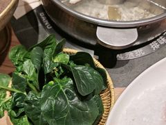 笨菠菜-巴奴毛肚火锅(龙湖锦艺城店)
