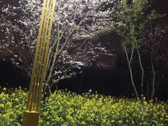-西北湖绿化广场