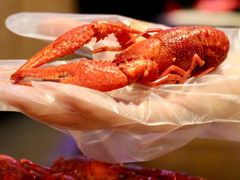 -红钳侠小龙虾·烧烤(中赢康康谷店)