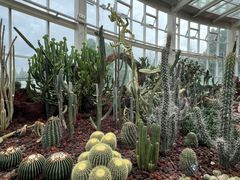 -昆明植物园