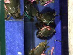 -量贩海鲜餐厅