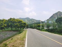 -密云玫瑰情园