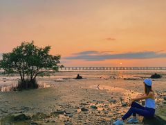 -宝安西湾红树林湿地公园