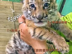 -常州淹城野生动物世界