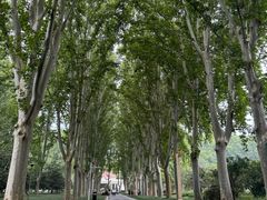 -河南省黄河迎宾馆