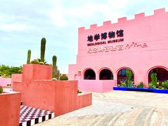 -漳州滨海火山岛自然生态风景区