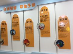 -创美居装饰(中洲里程店)