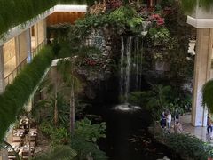 -广州白天鹅宾馆