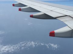 -新加坡航空公司(ION)