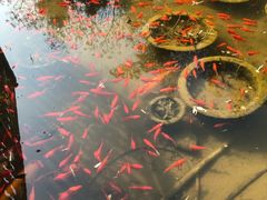 -聚缘堂·海鲜私房菜(松岭路店)