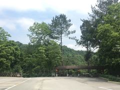 -广州市流溪河国家森林公园