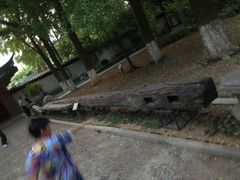 -郑和公园