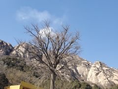 -北京凤凰岭